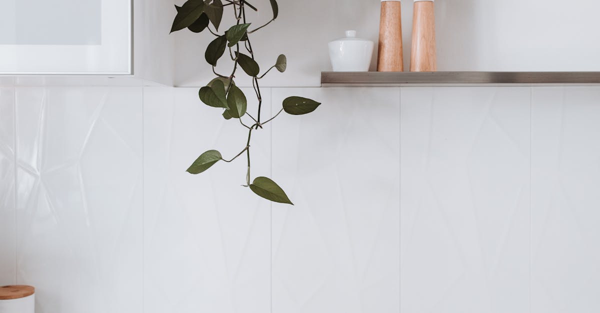 Market Harborough, Leicestershire